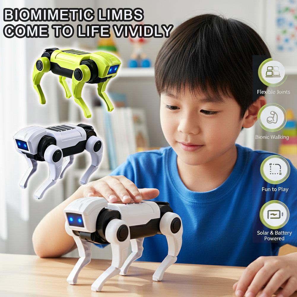 1/2 Pezzi Robot Telecomandato  - Science Robot recensione e prezzo